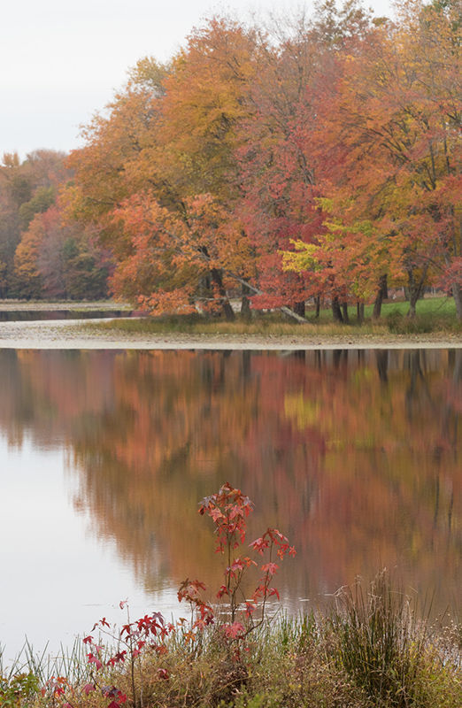 Lake at Patuxent Research Refuge , MD